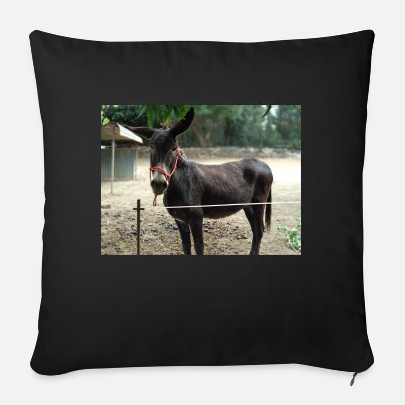 Esel - Sofakissen mit Füllung 45 x 45 cm - Schwarz