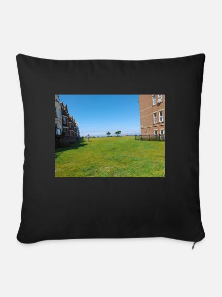Grünfläche cromer uk - Sofakissen mit Füllung 45 x 45 cm - Schwarz