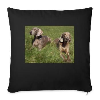 Delta mit Freund - Sofakissen mit Füllung 45 x 45 cm - Schwarz - Vorne