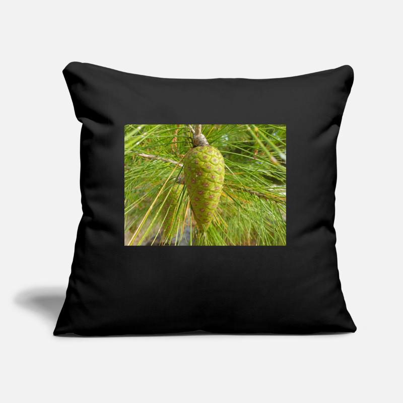 Aleppo pine also Jerusalem pine Aleppo-Kiefer Sofa pillow with filling 45cm x 45cm