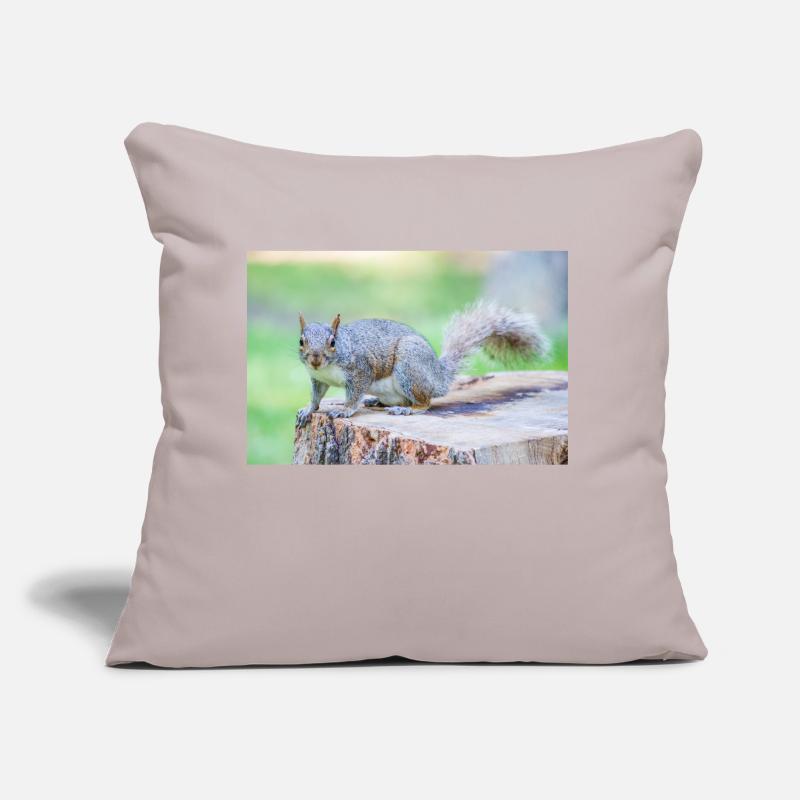 Grey squirrel Grauhörnchen Sciurus carolinensis Sofa pillow with filling 45cm x 45cm