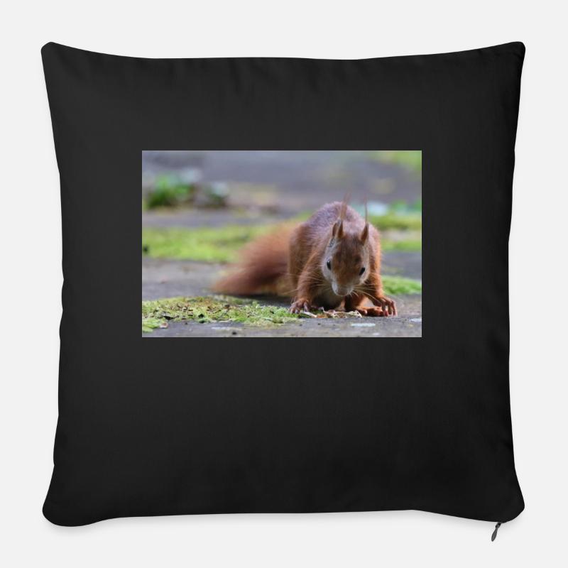 Eichhörnchen - Sofakissen mit Füllung 45 x 45 cm - Schwarz