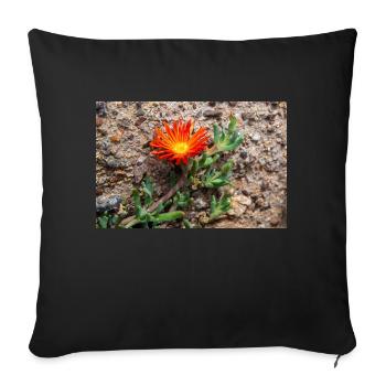plante de glace rampante rustique carpe rose de glace - Coussin et housse de 45 x 45 cm - noir - Devant