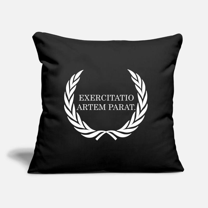practice makes the master know Latin Sofa pillow with filling 45cm x 45cm