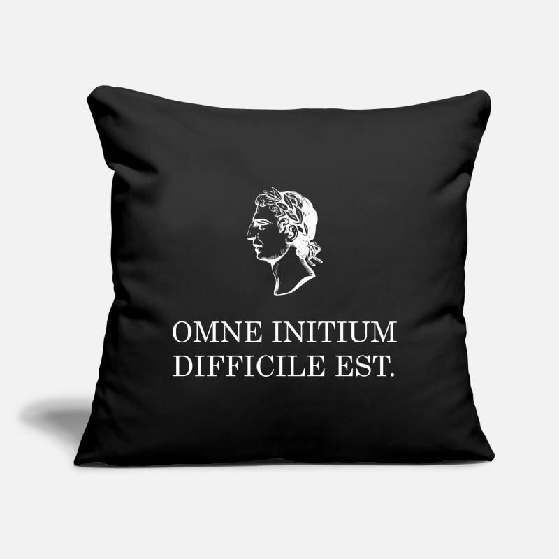 all beginning is difficult latin white Sofa pillow with filling 45cm x 45cm