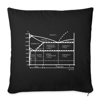Iron Carbon Diagram Nerd Ferrite Steel - Sofa pillow with filling 45cm x 45cm - black - Front