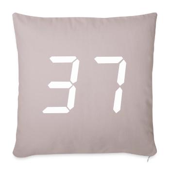 digitale_zahl_37- - Coussin et housse de 45 x 45 cm - taupe clair - Devant
