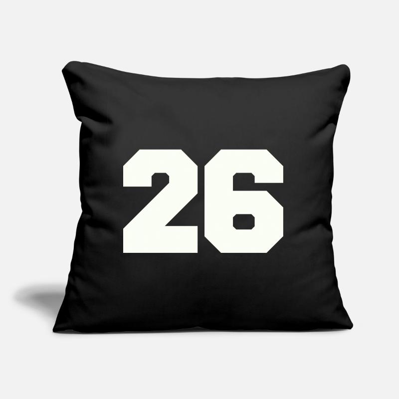 26 Coussin et housse de 45 x 45 cm