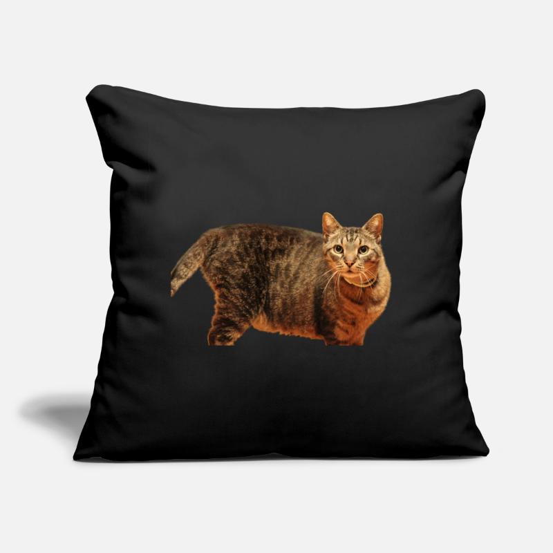 Cat Kitten Sofa pillow with filling 45cm x 45cm