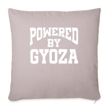 Propulsé par Gyoza - Coussin et housse de 45 x 45 cm - taupe clair - Devant