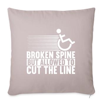 Wheelchair users Wheelchair - Sofa pillow with filling 45cm x 45cm - light taupe - Front