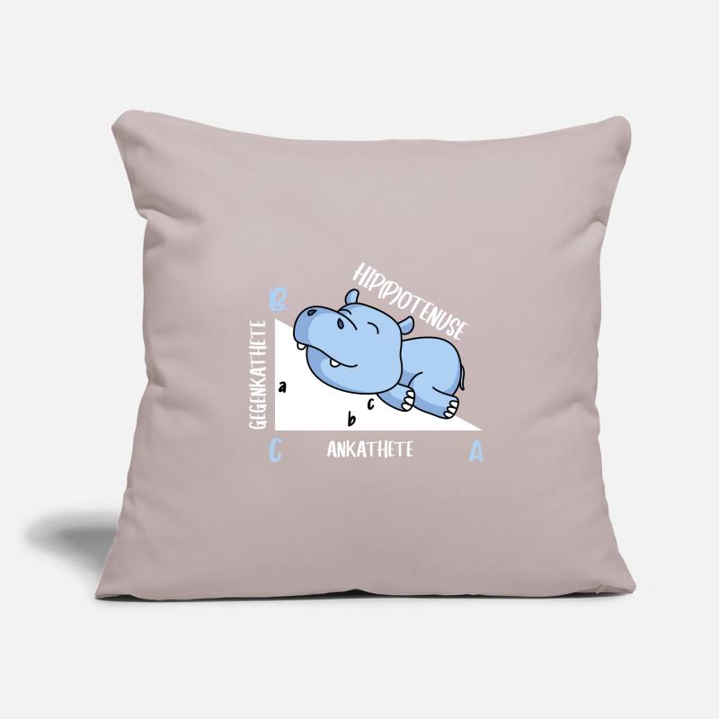 Hippotenuse Math Teacher Fun Math Sofa pillow with filling 45cm x 45cm