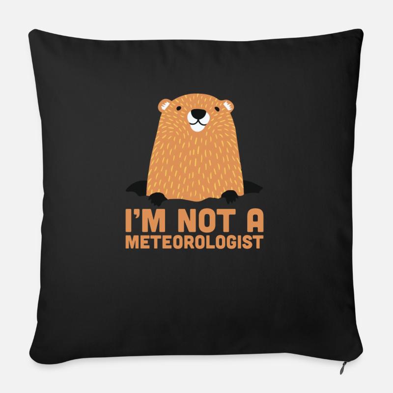 Ich bin kein Meteorologe Cute Groundhog Forecasting - Sofakissen mit Füllung 45 x 45 cm - Schwarz