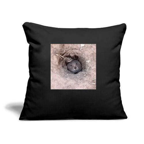 Mole - Sofa pillow with filling 45cm x 45cm