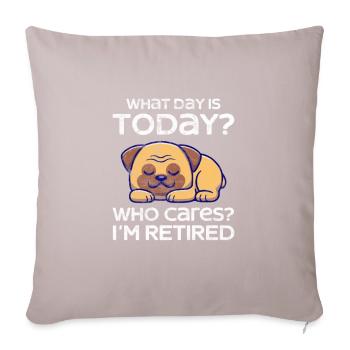 Retirement - Sofa pillow with filling 45cm x 45cm - light taupe - Front