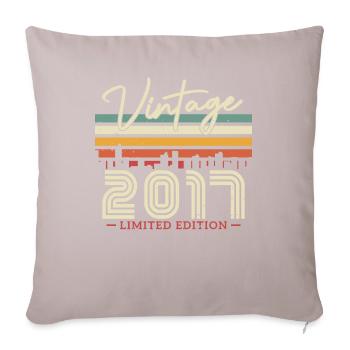 Vintage Birthday Gift 2017 - Sofa pillow with filling 45cm x 45cm - light taupe - Front