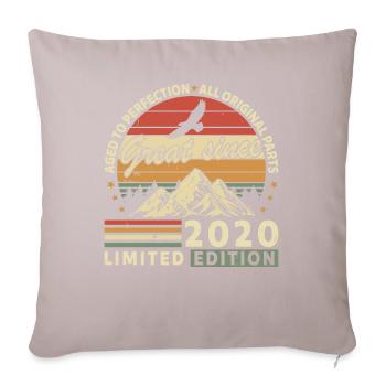 2020 - Sofa pillow with filling 45cm x 45cm - light taupe - Front
