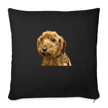 Basset Rehkitz der Bretagne - Sofakissen mit Füllung 45 x 45 cm - Schwarz - Vorne