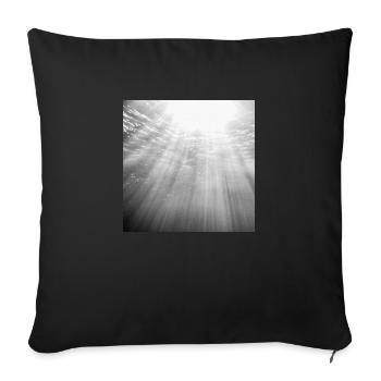 dansEau - Coussin et housse de 45 x 45 cm - noir - Devant