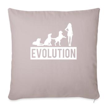 Hunde Evolution Hund Gassi Entwicklung Mensch - Sofakissen mit Füllung 45 x 45 cm - helles Taupe - Vorne