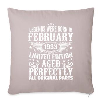 Legendary since February 1933 - 91 years old - Sofa pillow with filling 45cm x 45cm - light taupe - Front