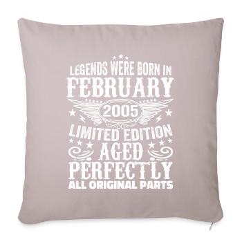 Legendary since February 2005 - 19 years old - Sofa pillow with filling 45cm x 45cm - light taupe - Front