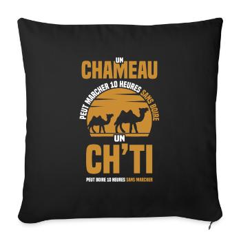 Chti ch'ti humour apéro alcool ville - Coussin et housse de 45 x 45 cm - noir - Devant