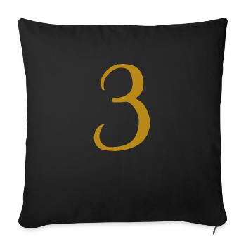 3 - Coussin et housse de 45 x 45 cm - noir - Devant