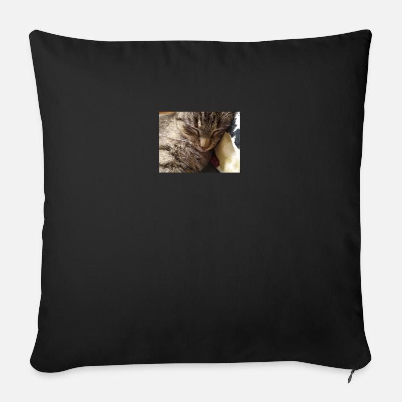 katzen, kätzchen, - Sofakissen mit Füllung 45 x 45 cm - Schwarz