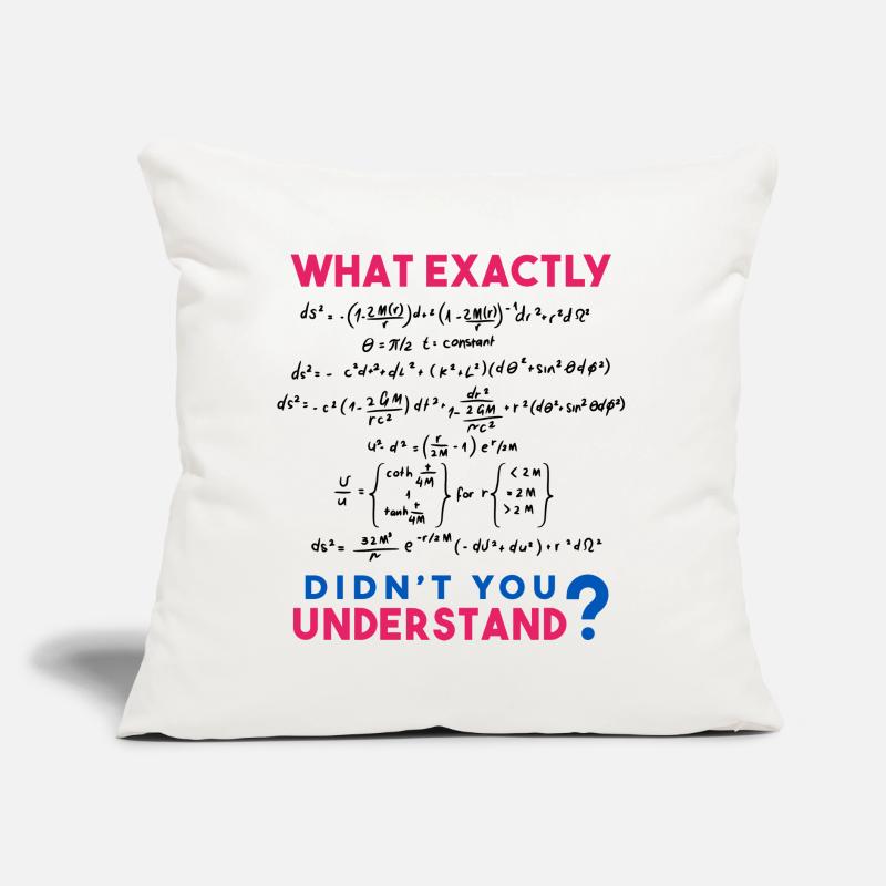 Physics and Math formula Joke Sofa pillow with filling 45cm x 45cm