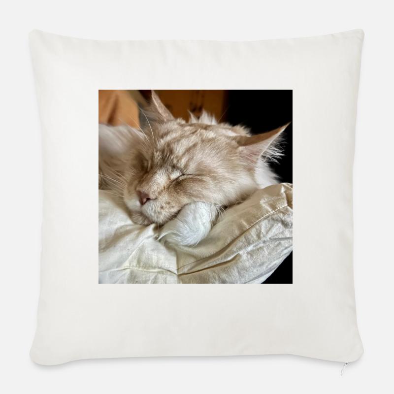 Mainecoon dormant - Coussin et housse de 45 x 45 cm - blanc nature