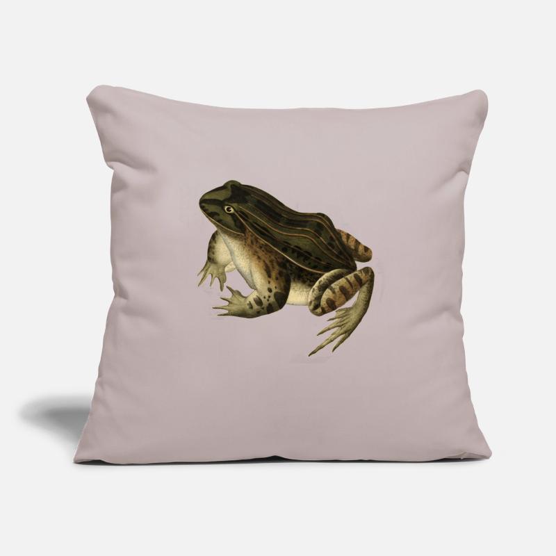 frog toad toad frog illustration drawing vintage Sofa pillow with filling 45cm x 45cm
