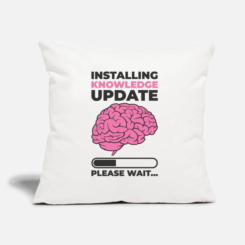 Installing Knowledge Update Student Brain Loading Sofa pillow with filling 45cm x 45cm