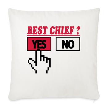 Best chief ? yes 222 - Sofa pillow with filling 45cm x 45cm - natural white - Front