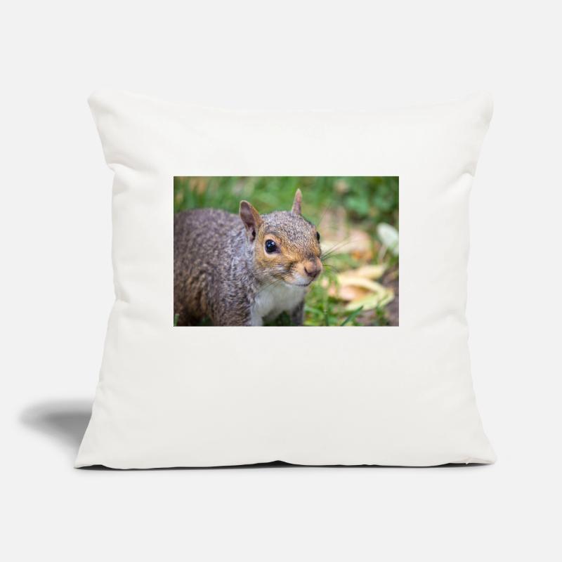 Grey squirrel (in german Grauhörnchen) Sciurus Sofa pillow with filling 45cm x 45cm