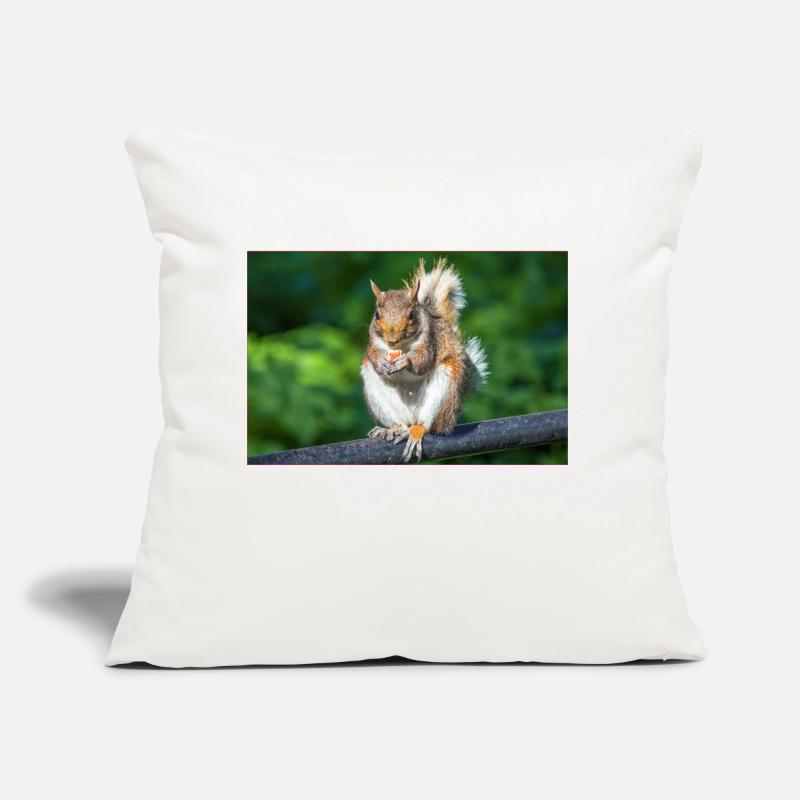Eating Grey squirrel Grauhörnchen Sciurus caroline Sofa pillow with filling 45cm x 45cm
