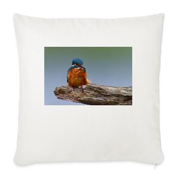 000 1475 DxO - Sofa pillow with filling 45cm x 45cm - natural white - Front