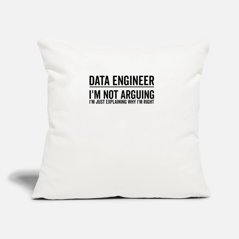 Just Explaining - Data Engineer Sofa pillow with filling 45cm x 45cm