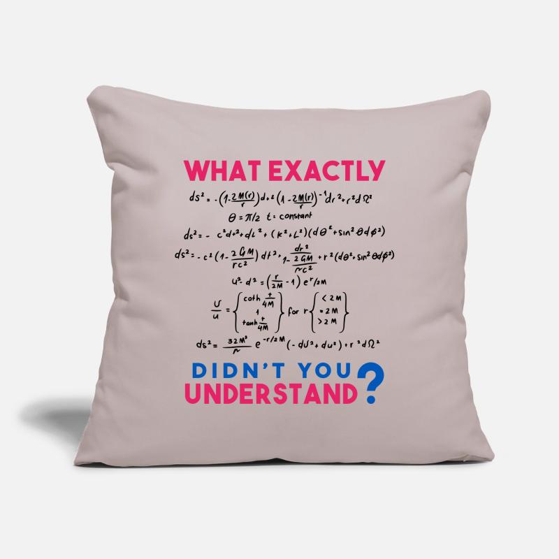 Physics and Math formula Joke Sofa pillow with filling 45cm x 45cm