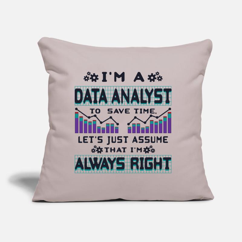 Data Analyst Sofa pillow with filling 45cm x 45cm