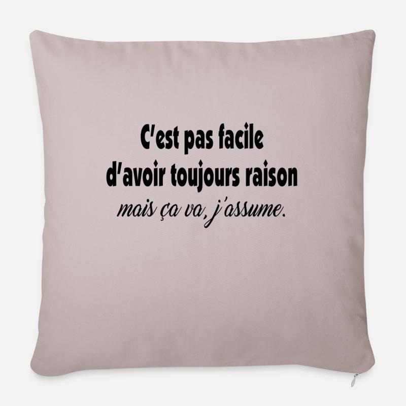C'est pas facile d'avoir toujours raison... - Coussin et housse de 45 x 45 cm - taupe clair