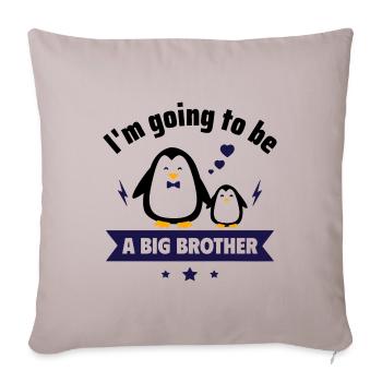 I'm going to be a big brother! Baby is coming soon - Sofa pillow with filling 45cm x 45cm - light taupe - Front