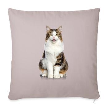 Chat souriant moelleux – Édition Good Pet - Coussin et housse de 45 x 45 cm - taupe clair - Devant