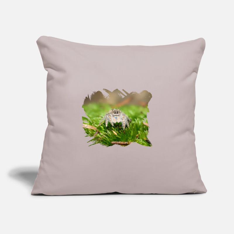 Phidippus texanus jumping spider, spring spinne. Coussin et housse de 45 x 45 cm
