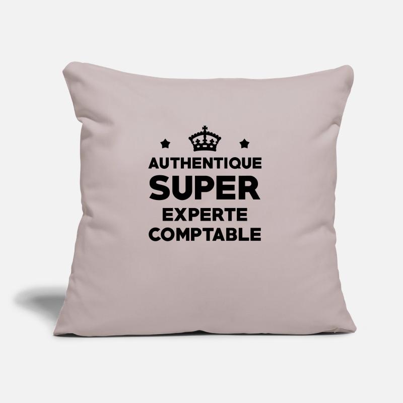 Expert Comptable / Comptabilité / Comptable / Coussin et housse de 45 x 45 cm
