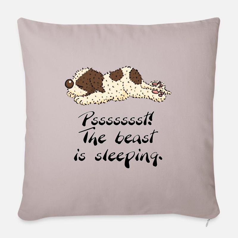 sleeppino1 1 - Coussin et housse de 45 x 45 cm - taupe clair