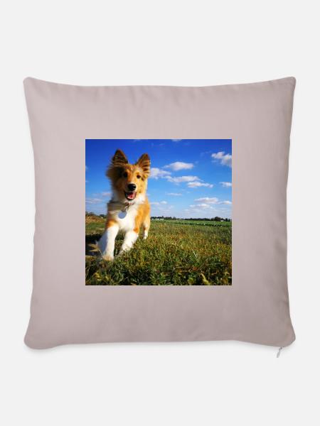 Happy young Sheltie - Sofakissen mit Füllung 45 x 45 cm - helles Taupe