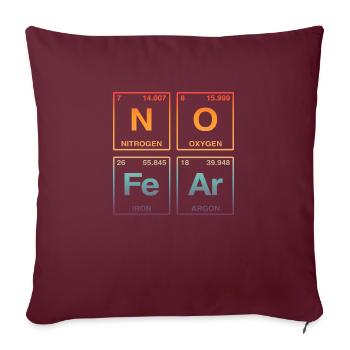 NO FEAR - avec des éléments du système de perdiode - Coussin et housse de 45 x 45 cm - bordeaux - Devant