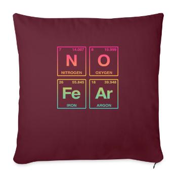 NO FEAR - avec des éléments du système de perdiode - Coussin et housse de 45 x 45 cm - bordeaux - Devant