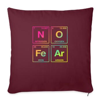 NO FEAR - avec des éléments du système de perdiode - Coussin et housse de 45 x 45 cm - bordeaux - Devant